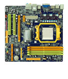 BIOMOT093