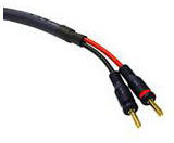 CABSPK012