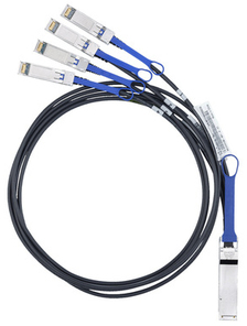 CISNET2Y6