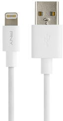PNYNET024