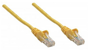 INTNET790