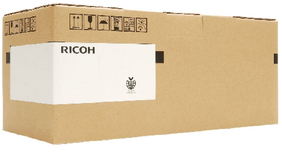 RICPRI793
