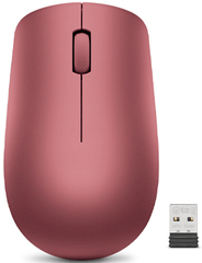 LENMIC048
